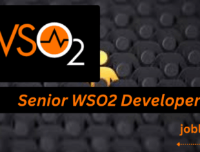 Senior-WSO2-Developer-jobl7.com